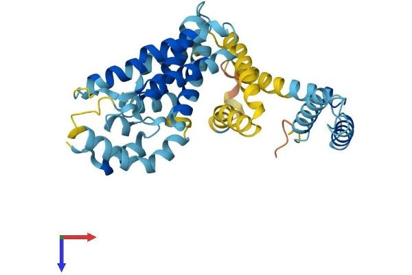 DNAJC22 Protein (AA 1-341) (His tag)