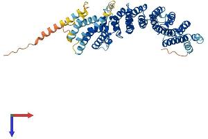 TTI2 Protein (AA 1-508) (His tag)