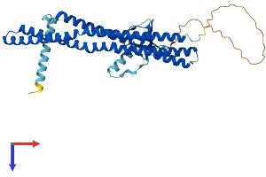 SH3GLB1 Protein (AA 1-365) (His tag)