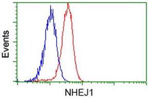 Flow cytometric Analysis of Hela cells, using anti-NHEJ1 antibody (ABIN2453349), (Red), compared to a nonspecific negative control antibody (TA50011), (Blue). (NHEJ1 Antikörper)