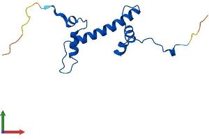 Protein Structure (PS) image for H2A Histone Family, Member V (H2AFV) (AA 1-128) protein (His tag) (ABIN7548142)