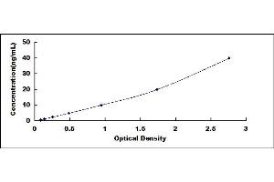 Typical standard curve (SLC22A12 ELISA Kit)