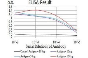 Black line: Control Antigen (100 ng);Purple line: Antigen (10ng); Blue line: Antigen (50 ng); Red line:Antigen (100 ng) (Phospholipase C gamma 1 Antikörper  (AA 39-181))