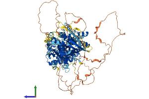 PIK3R5 Protein (AA 1-871) (His tag)