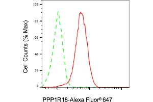 anti-KIAA1949 (KIAA1949) antibody
