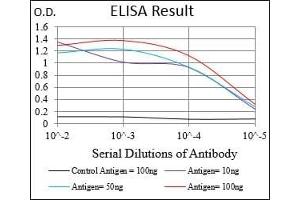 Black line: Control Antigen (100 ng), Purple line: Antigen(10 ng), Blue line: Antigen (50 ng), Red line: Antigen (100 ng), (GAB2 Antikörper  (AA 332-476))
