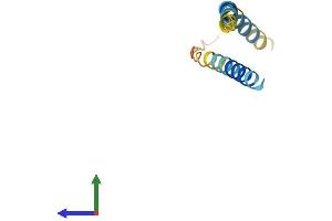 Protein Structure (PS) image for Chromosome X Open Reading Frame 61 (CXORF61) (AA 1-113) protein (His tag) (ABIN7548742)