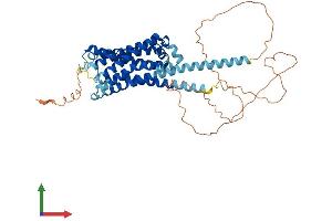 Protein Structure (PS) image for Histamine Receptor H1 (HRH1) (AA 1-487) protein (His tag) (ABIN7548322)