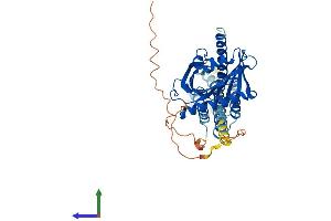 AlphaFold protein structure predicition of Human Recombinant STARD3 Protein, UniprotID Q14849