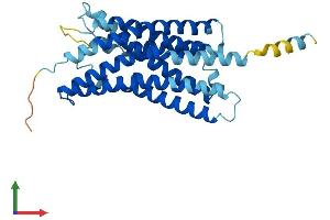 Protein Structure (PS) image for G Protein-Coupled Receptor 55 (GPR55) (AA 1-319) protein (His tag) (ABIN7548178)