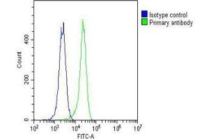 Flow Cytometry (FACS) image for anti-Makorin Ring Finger Protein 2 (MKRN2) antibody (ABIN6242395)
