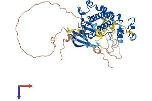 Cyclin-Dependent Kinase 15 (ALS2CR7) (AA 1-433) protein (His tag)