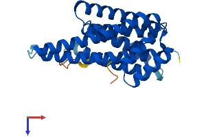 YWHAE Protein (AA 1-255) (His tag)