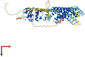 KCNS1 Protein (AA 1-526) (His tag)
