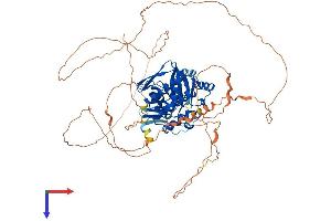 GSG2 Protein (AA 1-754) (His tag)