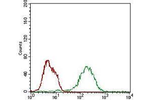 Flow cytometric analysis of MCF-7 cells using BAD mouse mAb (green) and negative control (red).