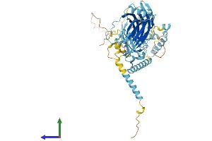 Protein Structure (PS) image for Meckel Syndrome, Type 1 (MKS1) (AA 1-559) protein (His tag) (ABIN7549465)