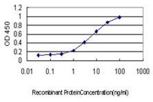 Detection limit for recombinant GST tagged ISGF3G is approximately 0. (IRF9 Antikörper  (AA 1-393))