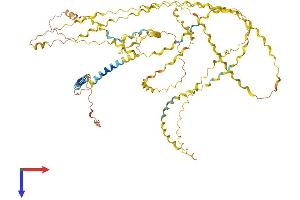 COL25A1 Protein (AA 1-666) (His tag)