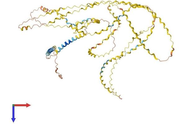 COL25A1 Protein (AA 1-666) (His tag)