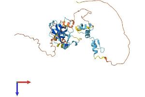 PRDM12 Protein (AA 1-367) (His tag)