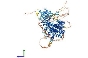 Protein Structure (PS) image for Ral Guanine Nucleotide Dissociation Stimulator-Like 3 (RGL3) (AA 1-709) protein (His tag) (ABIN7557314)