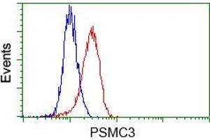 Image no. 4 for anti-Proteasome (Prosome, Macropain) 26S Subunit, ATPase, 3 (PSMC3) antibody (ABIN1501331) (PSMC3 Antikörper)