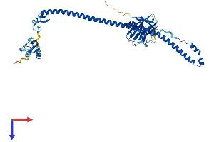 TRIM11 Protein (AA 1-467) (His tag)