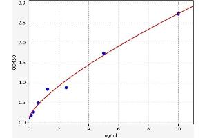 PTH2R ELISA Kit