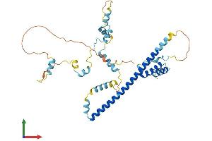 Protein Structure (PS) image for Fasciculation and Elongation Protein zeta 2 (Zygin II) (FEZ2) (AA 1-353) protein (His tag) (ABIN7547631)