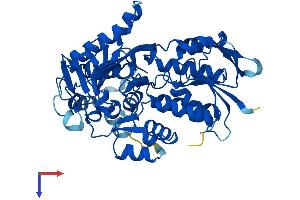 PPOX Protein (AA 1-477) (His tag)