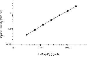 ELISA image for Interleukin 12 (IL12) ELISA Kit (ABIN2690562)
