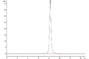 Size-exclusion chromatography-High Pressure Liquid Chromatography (SEC-HPLC) image for Myelin Protein Zero-Like 2 (MPZL2) (AA 27-154) protein (Fc Tag) (ABIN7274575)