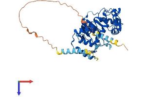 ST8SIA6 Protein (AA 1-398) (His tag)
