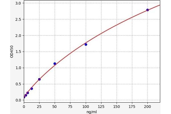 Transportin 1 ELISA Kit