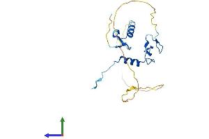 AlphaFold protein structure predicition of Human Recombinant ZFAND6 Protein, UniprotID Q6FIF0