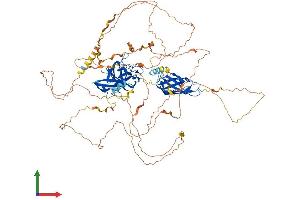 Protein Structure (PS) image for Nuclear Factor of Activated T-Cells, Cytoplasmic, Calcineurin-Dependent 4 (NFATC4) (AA 1-901) protein (His tag) (ABIN7564619)