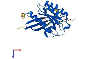 RAB1B Protein (AA 1-201) (His tag)