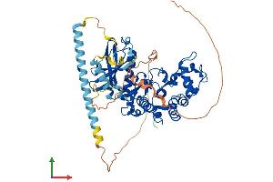 Protein Structure (PS) image for serine/arginine-Rich Protein Specific Kinase 3 (SRPK3) (AA 1-565) protein (His tag) (ABIN7556345)