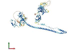 Protein Structure (PS) image for Tripartite Motif Containing 36 (TRIM36) (AA 1-729) protein (His tag) (ABIN7558390)