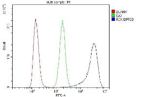 Flow Cytometry analysis of K562 cells using anti-RDX antibody (ABIN7602767). (Radixin Antikörper  (C-Term))