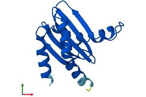 Protein Structure (PS) image for Mitogen-Activated Protein Kinase Kinase 1 Interacting Protein 1 (MAPKSP1) (AA 1-124) protein (His tag) (ABIN7562643)