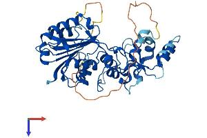 Dnmt2 Protein (AA 1-391) (His tag)