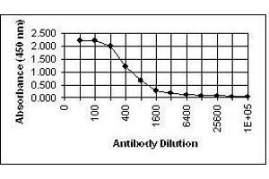 ELISA image for anti-Glycoprotein H (gH) antibody (ABIN265605) (Glycoprotein H (gH) Antikörper)
