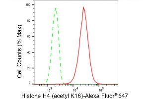 Flow cytometric analysis of Histone H4 (acetyl K16) expression in HepG2 cells using Histone H4 (acetyl K16) antibody (ABIN7798978), 1:2,000). (Rekombinanter Histone H4 Antikörper  (H4K16ac))