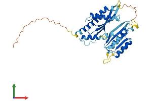 AlphaFold protein structure predicition of Human Recombinant RWDD2B Protein, UniprotID P57060
