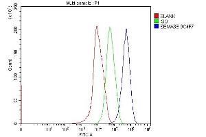 Flow Cytometry analysis of HepG2 cells using anti-Semaphorin 3B/SEMA3B antibody (ABIN7602023).