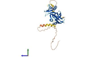Protein Structure (PS) image for Docking Protein 6 (DOK6) (AA 1-331) protein (His tag) (ABIN7547205)