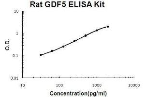 Rat GDF5 PicoKine ELISA Kit standard curve (GDF5 ELISA Kit)