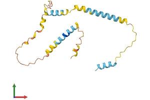 AlphaFold protein structure predicition of Human Recombinant HMGN2P46 Protein, UniprotID Q86SG4